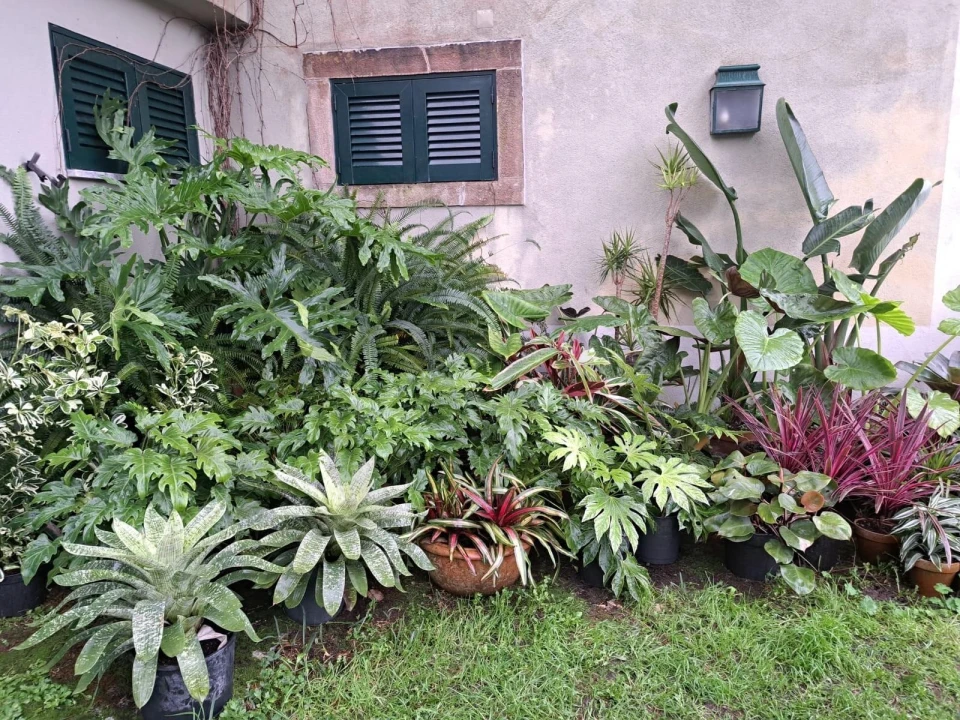 Moradia T4 para Venda em São João das Lampas e Terrugem Foto 35