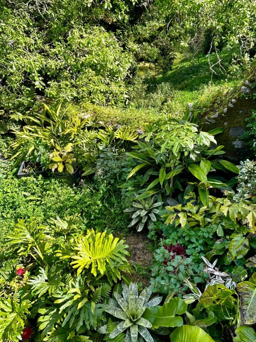 Moradia T4 para Venda em São João das Lampas e Terrugem Foto 40