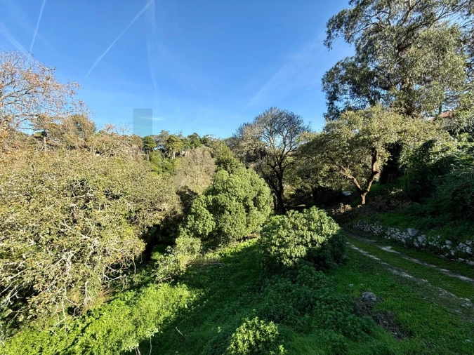 Moradia T4 para Venda em São João das Lampas e Terrugem Foto 5