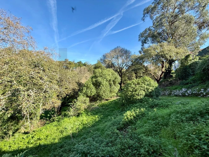 Moradia T4 para Venda em São João das Lampas e Terrugem Foto 17