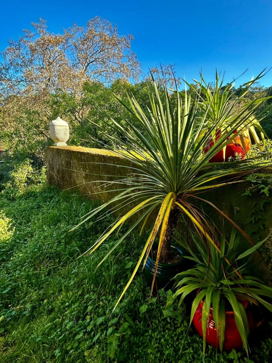 Moradia T4 para Venda em São João das Lampas e Terrugem Foto 41