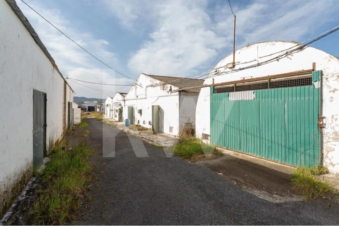 Terreno para Venda em Santa Maria e São Miguel, São Martinho, São Pedro Penaferrim Foto 6