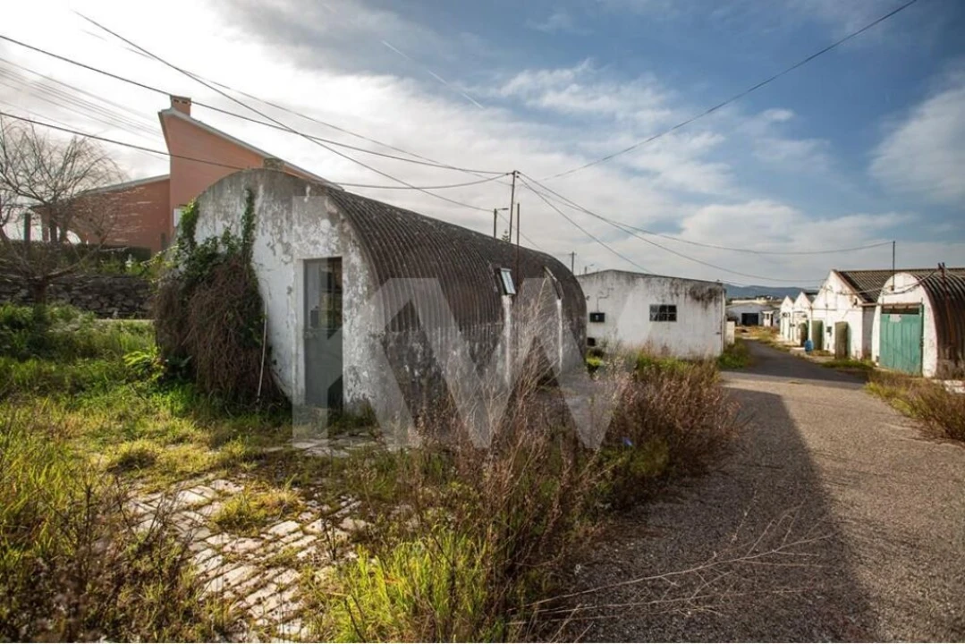 Terreno para Venda em Santa Maria e São Miguel, São Martinho, São Pedro Penaferrim Foto 3