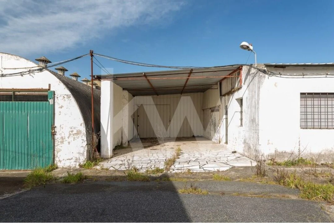 Terreno para Venda em Santa Maria e São Miguel, São Martinho, São Pedro Penaferrim Foto 5