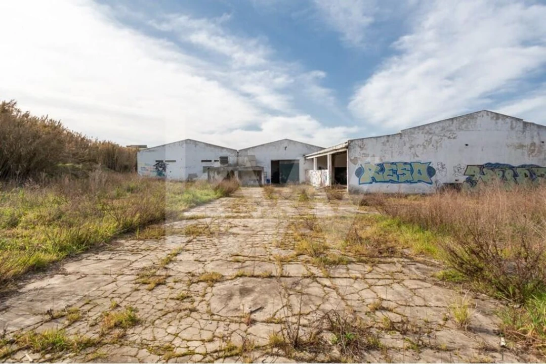 Terreno para Venda em Santa Maria e São Miguel, São Martinho, São Pedro Penaferrim Foto 10