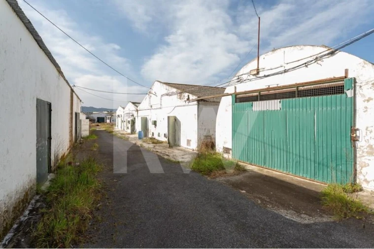 Terreno para Venda em Santa Maria e São Miguel, São Martinho, São Pedro Penaferrim Foto 6