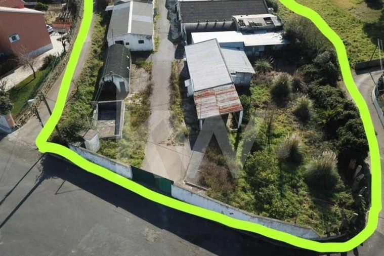 Terreno para Venda em Santa Maria e São Miguel, São Martinho, São Pedro Penaferrim Foto 16