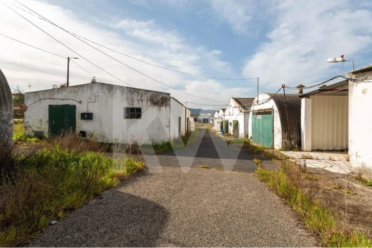Terreno para Venda em Santa Maria e São Miguel, São Martinho, São Pedro Penaferrim Foto 4