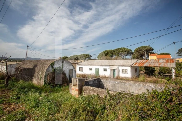 Terreno para Venda em Santa Maria e São Miguel, São Martinho, São Pedro Penaferrim Foto 2