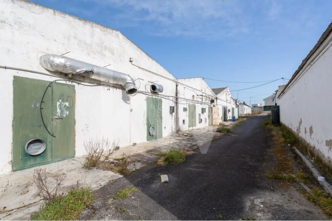 Terreno para Venda em Santa Maria e São Miguel, São Martinho, São Pedro Penaferrim Foto 8
