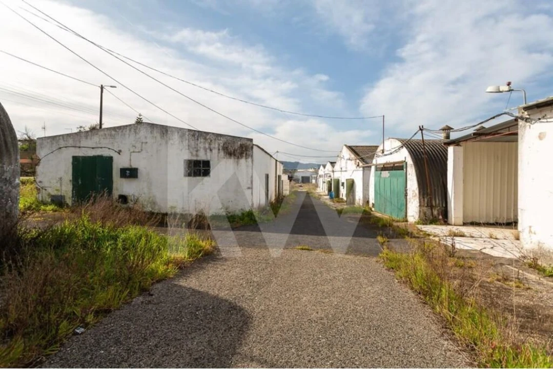 Terreno para Venda em Santa Maria e São Miguel, São Martinho, São Pedro Penaferrim Foto 4