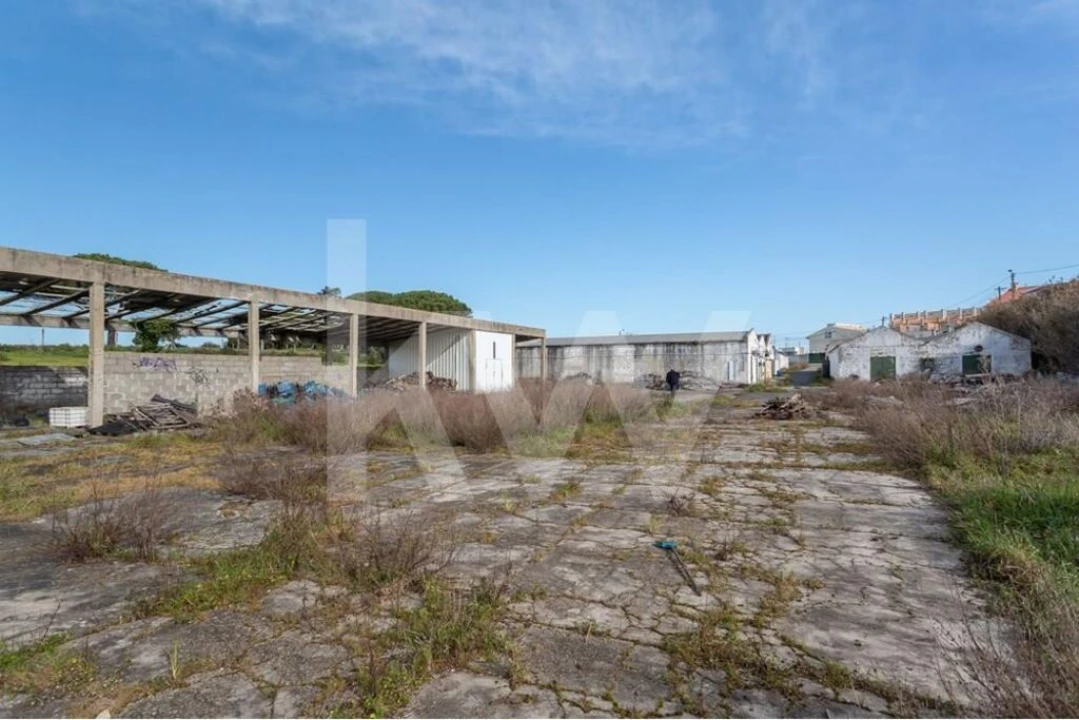 Terreno para Venda em Santa Maria e São Miguel, São Martinho, São Pedro Penaferrim Foto 11