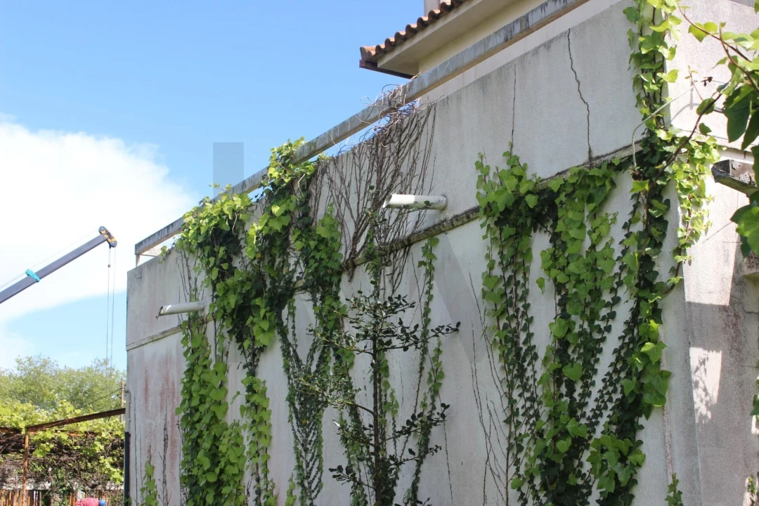 Moradia T4 para Venda em Gulpilhares e Valadares Foto 30