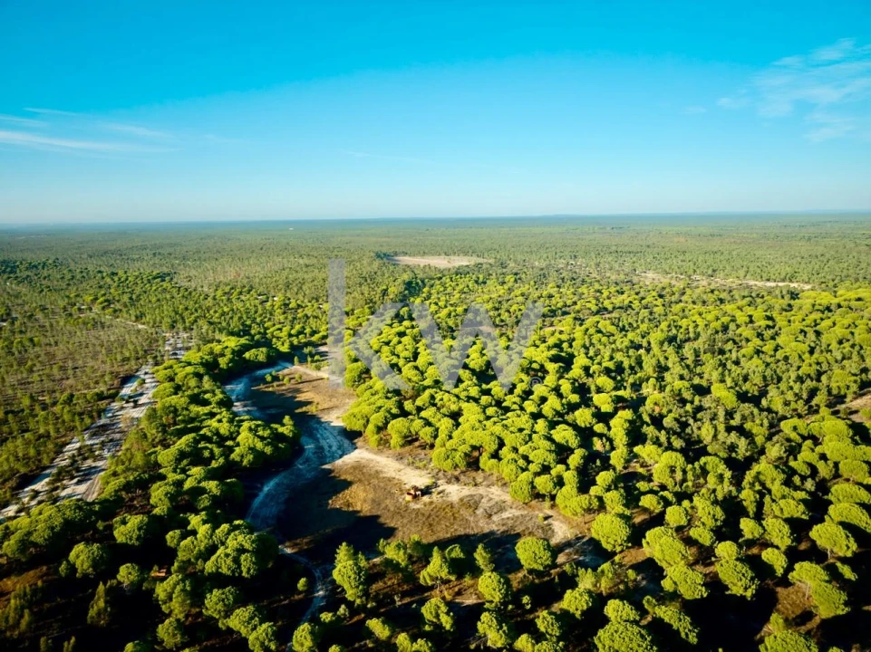 Terreno para Venda em Melides Foto 20