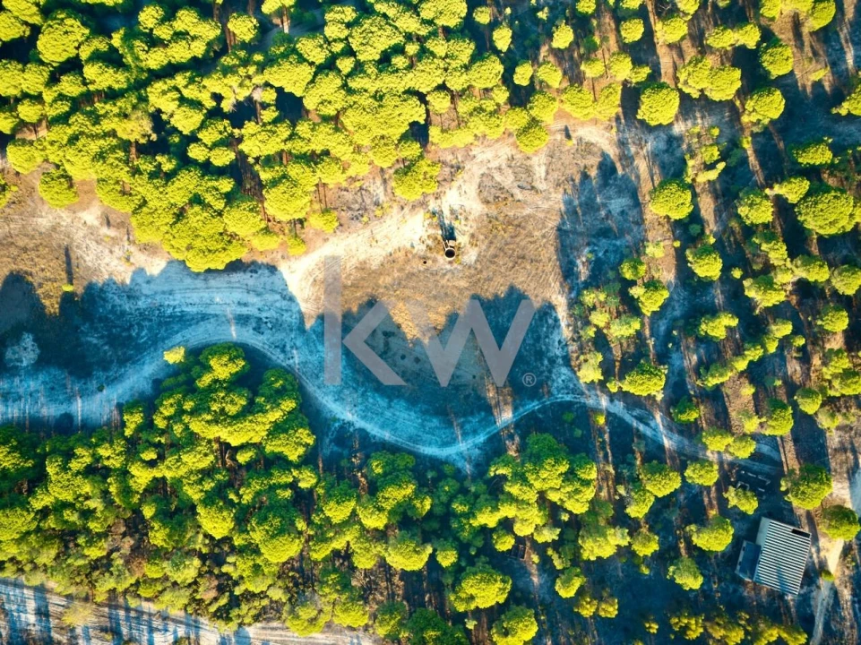 Terreno para Venda em Melides Foto 9