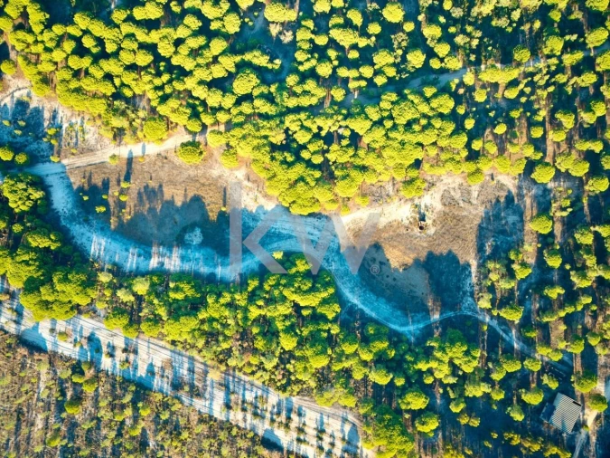 Terreno para Venda em Melides Foto 7