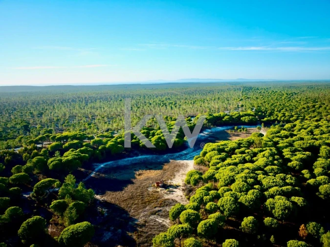 Terreno para Venda em Melides Foto 21