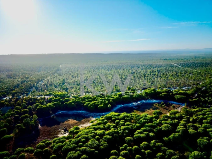 Terreno para Venda em Melides Foto 19