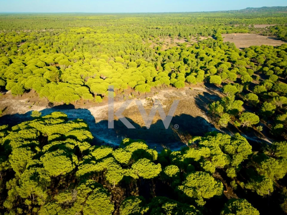 Terreno para Venda em Melides Foto 25