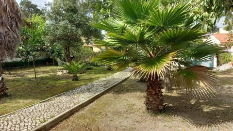Terreno para Venda em Corroios