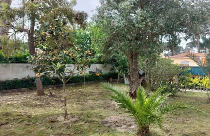 Terreno para Venda em Corroios