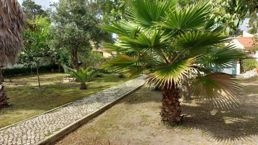 Terreno para Venda em Corroios Foto 16