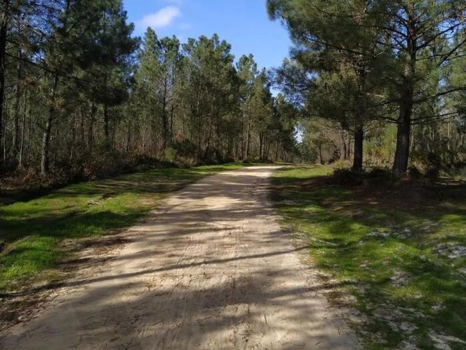 Terreno para Venda em Corroios Foto 10