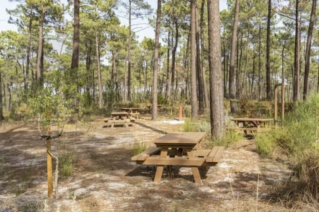 Terreno para Venda em Corroios Foto 12