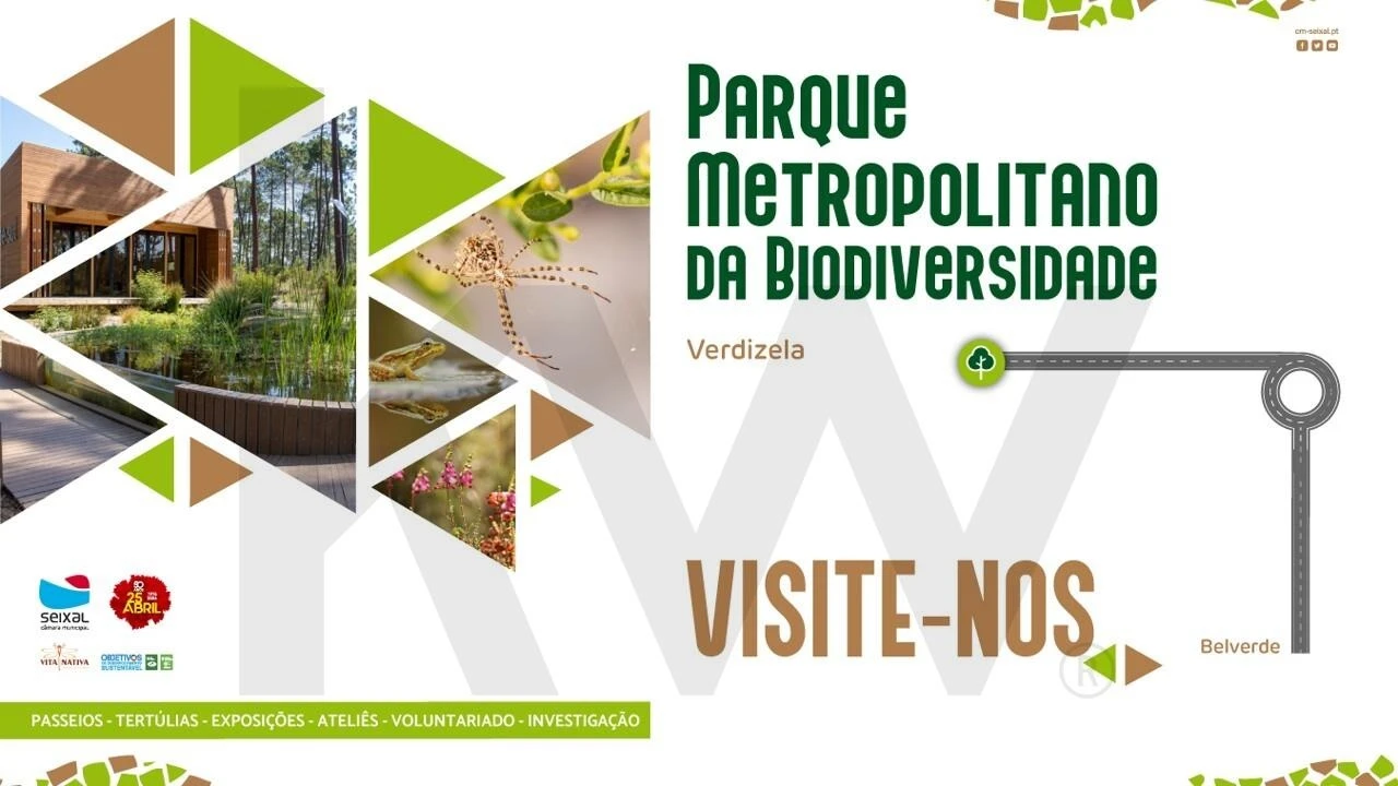 Terreno para Venda em Corroios Foto 11