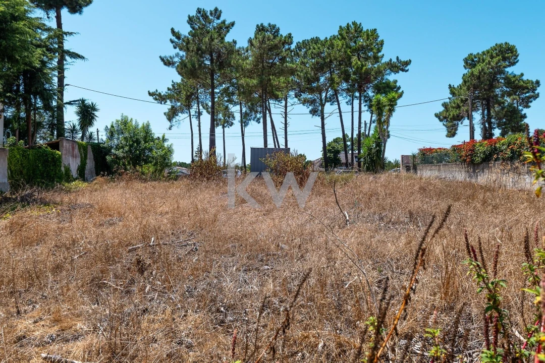 Terreno para Venda em Corroios Foto 8