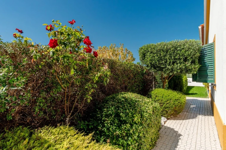 Moradia T3 para Arrendamento em Azeitão (São Lourenço e São Simão) Foto 45