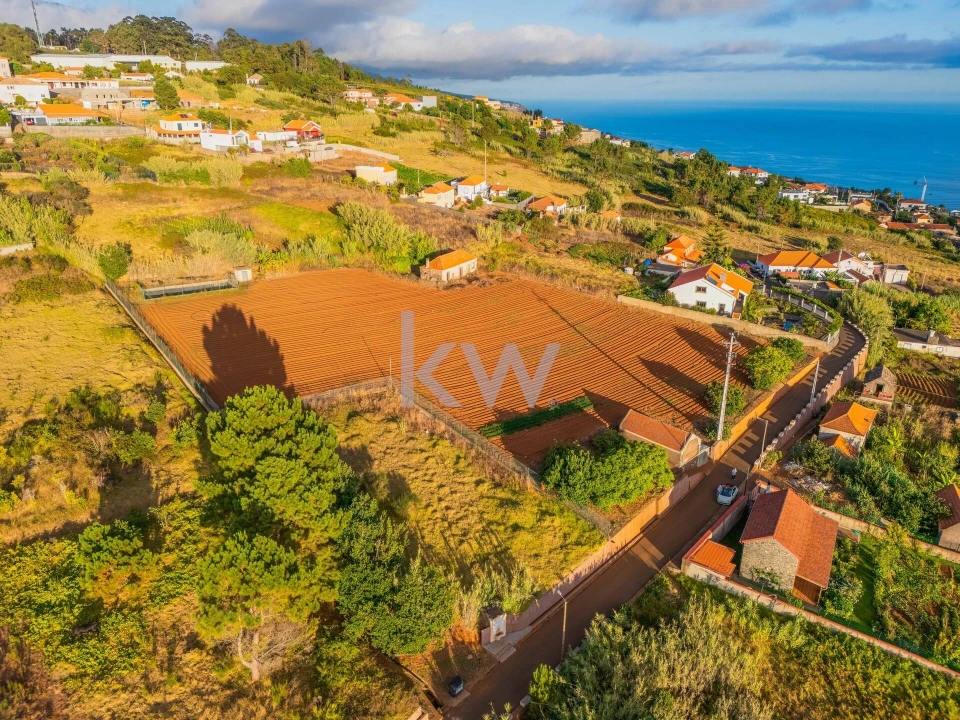 Terreno para Venda em Prazeres Foto 40