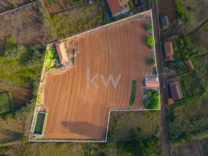 Terreno para Venda em Prazeres Foto 21