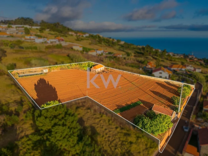 Terreno para Venda em Prazeres Foto 41