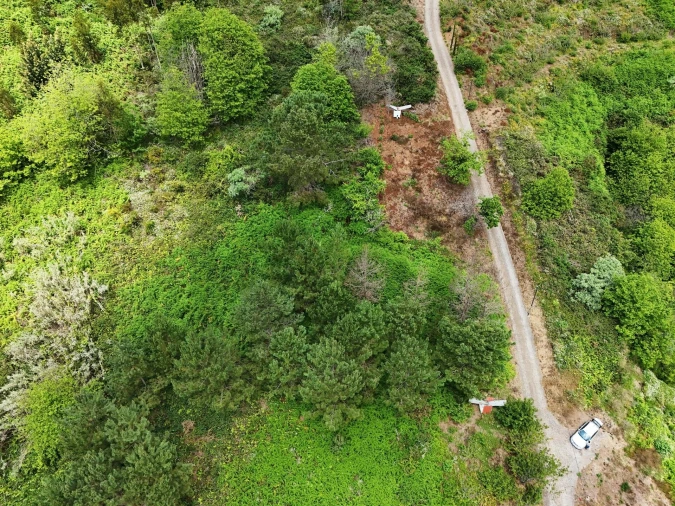 Terreno para Venda em Estreito de Camara de Lobos Foto 10