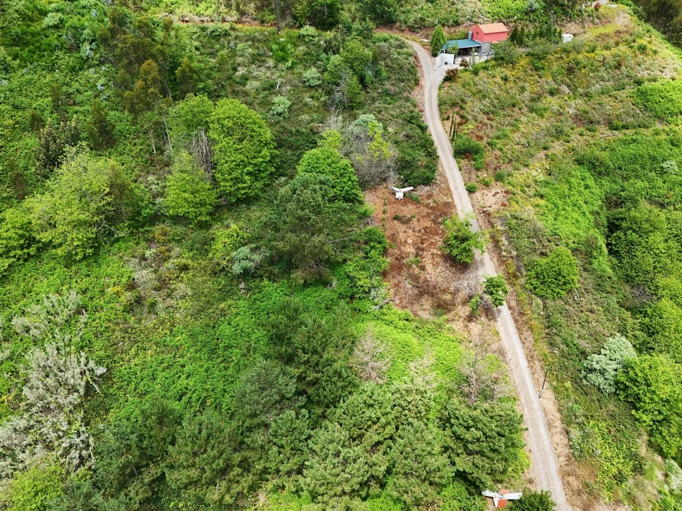 Terreno para Venda em Estreito de Camara de Lobos Foto 11