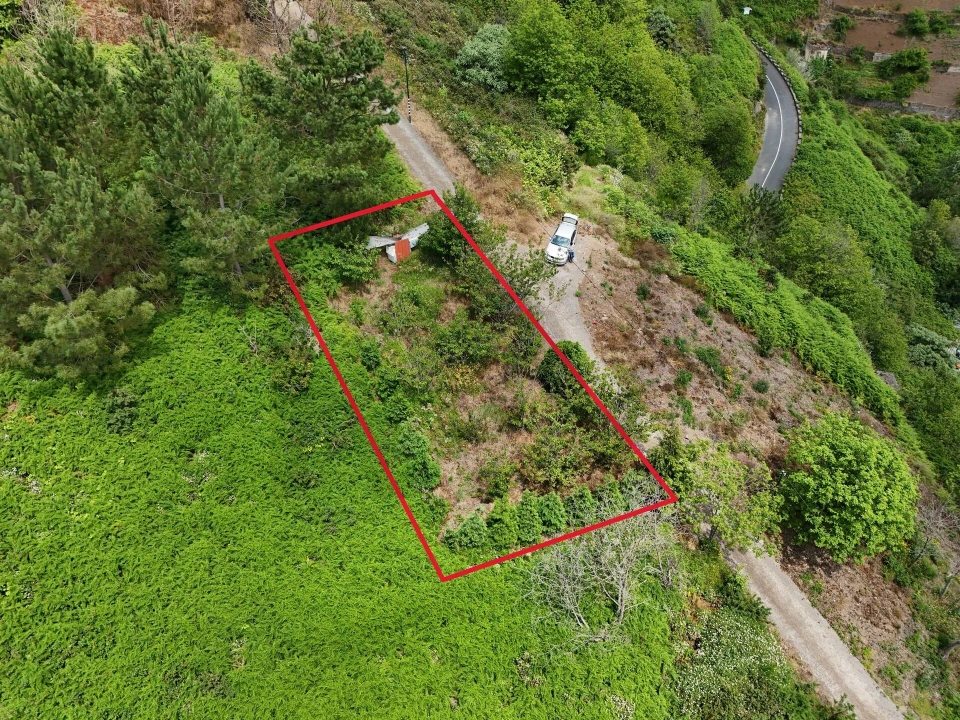 Terreno para Venda em Estreito de Camara de Lobos Foto 9