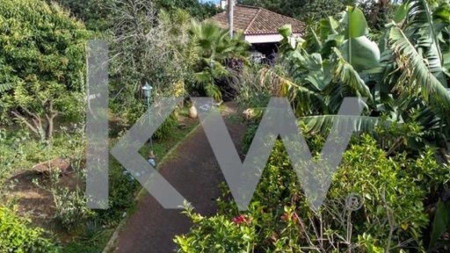 Quinta T3 para Venda em São Martinho Foto 23