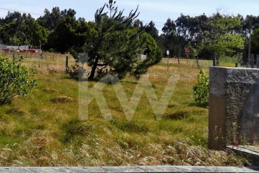Terreno para Venda em Praia de Mira Foto 4