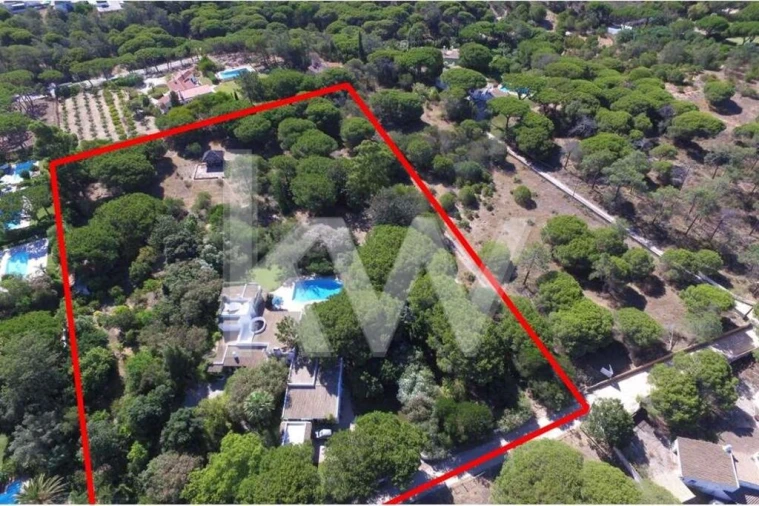 Terreno para Venda em Almancil Foto 6