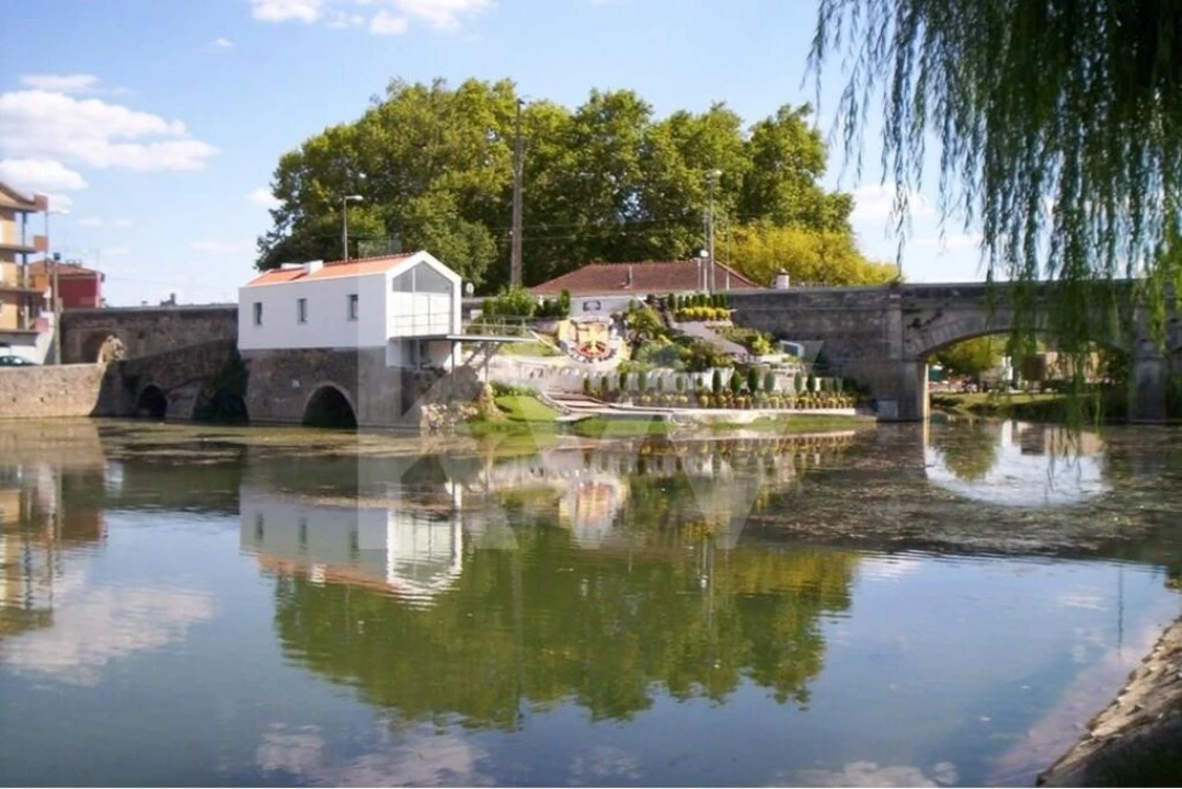 Terreno para Venda em Soure Foto 14