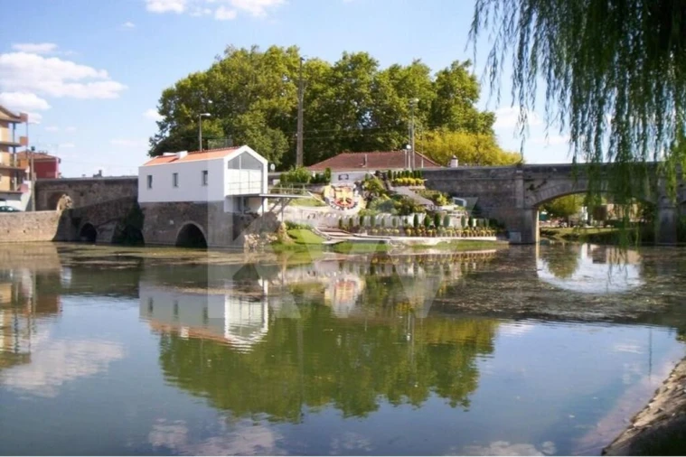 Terreno para Venda em Soure Foto 14