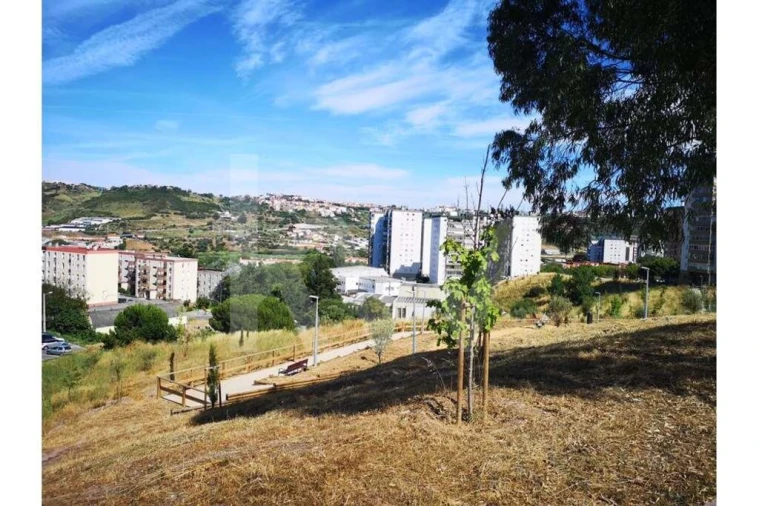 Terreno para Venda em Santo António dos Cavaleiros e Frielas Foto 1