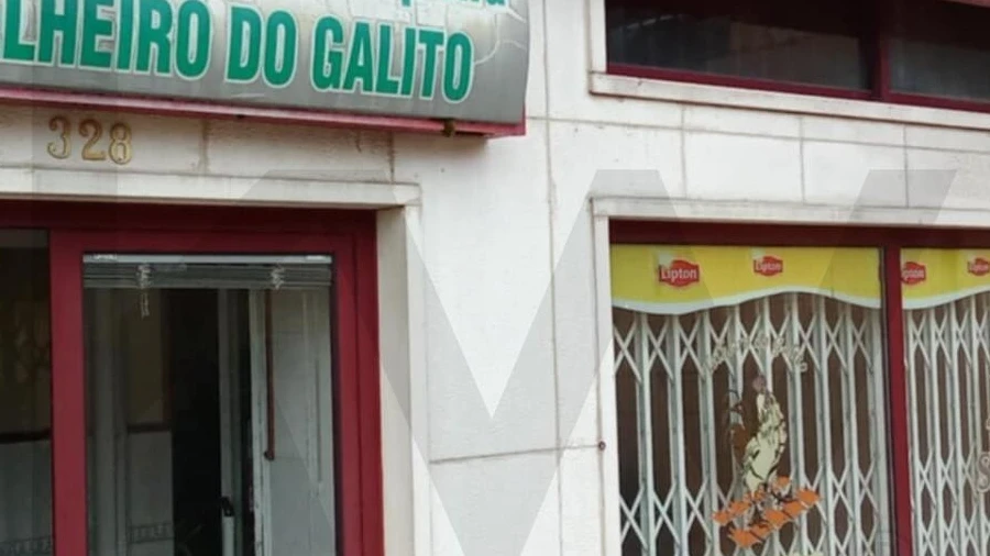 Negócio para Venda em O. Azeméis, Riba-Ul, Ul, Macinhata Seixa, Madail