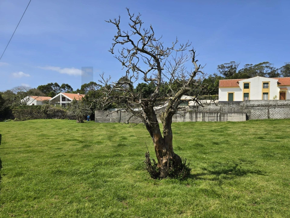 Terreno para Venda em São Mateus da Calheta Foto 14