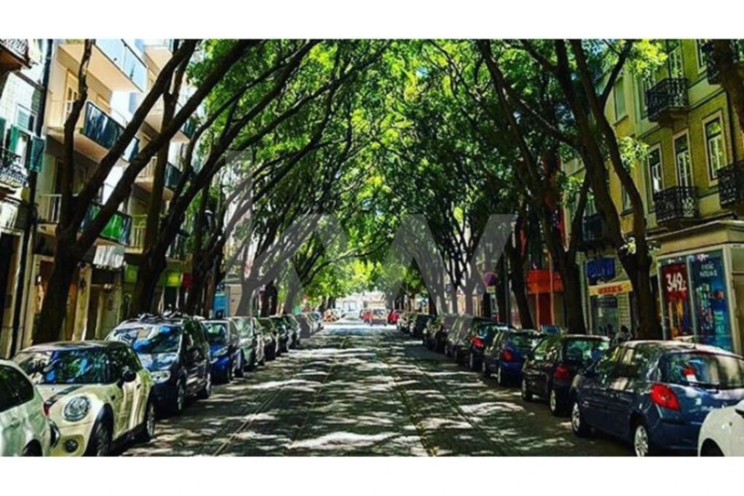 Prédio para Venda em Campo de Ourique Foto 11