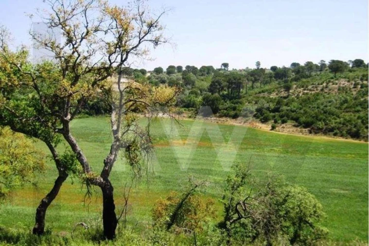 Terreno para Venda em Carregueiros Foto 4