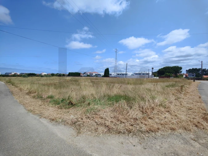 Terreno para Venda em Ílhavo (São Salvador) Foto 4