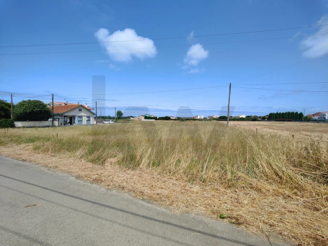 Terreno para Venda em Ílhavo (São Salvador) Foto 2