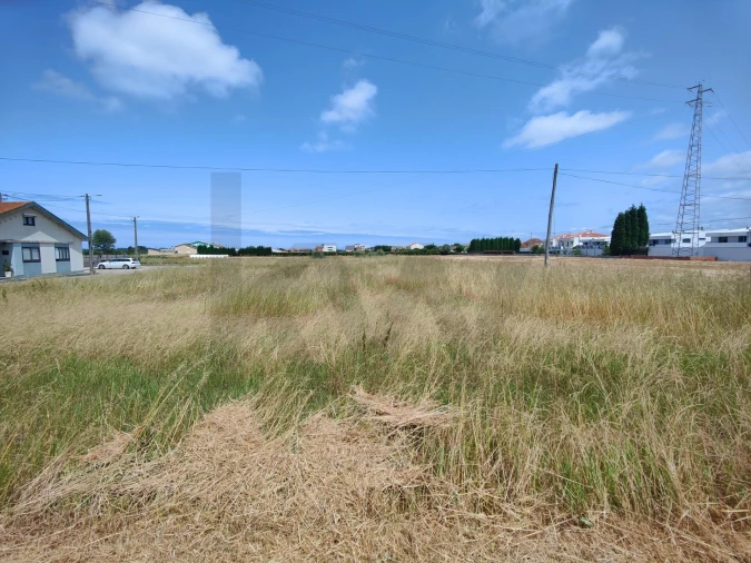 Terreno para Venda em Ílhavo (São Salvador) Foto 5